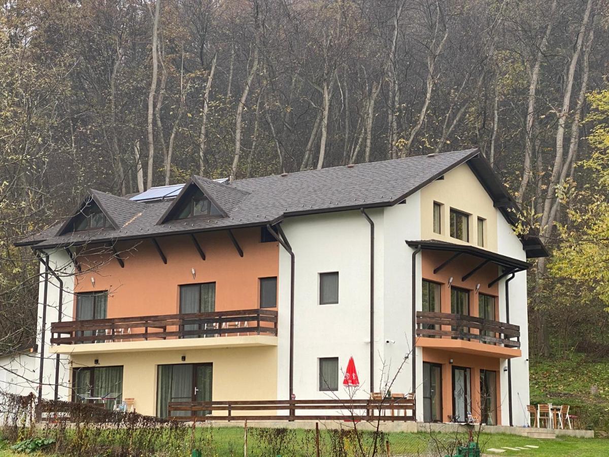 Pensiunea Lui Calin Ocnele Mari Exterior foto