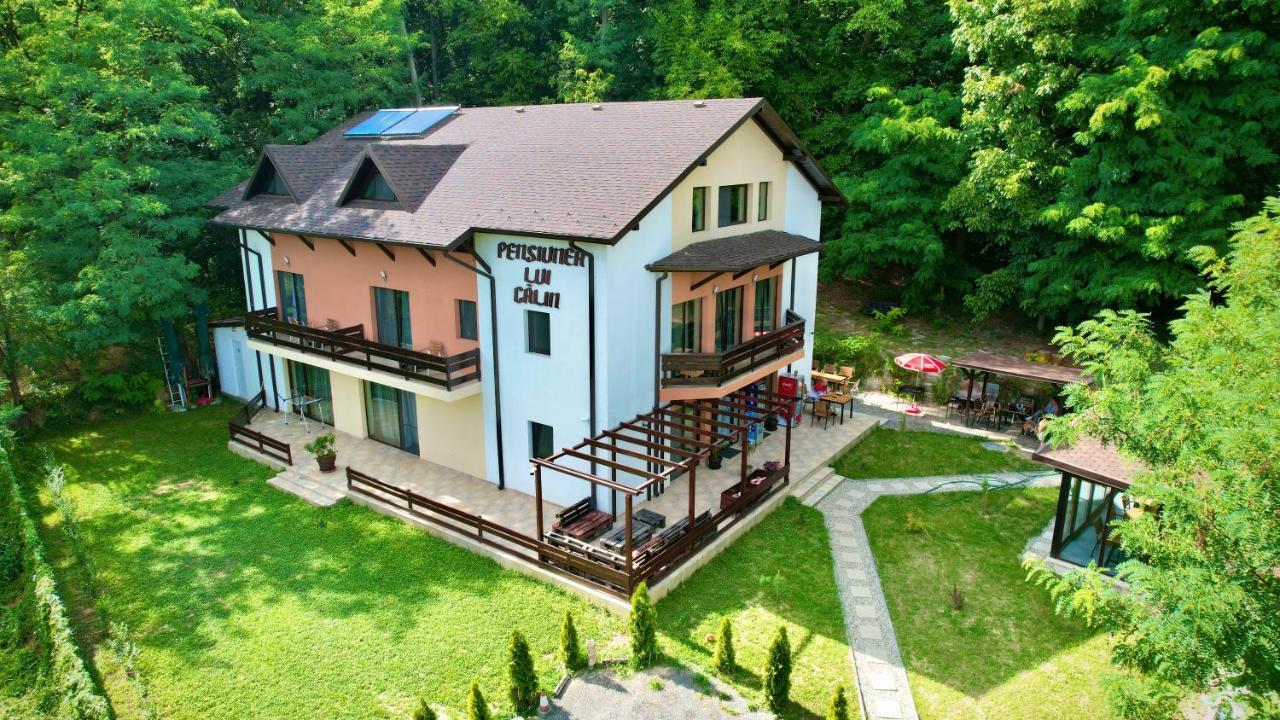 Pensiunea Lui Calin Ocnele Mari Exterior foto